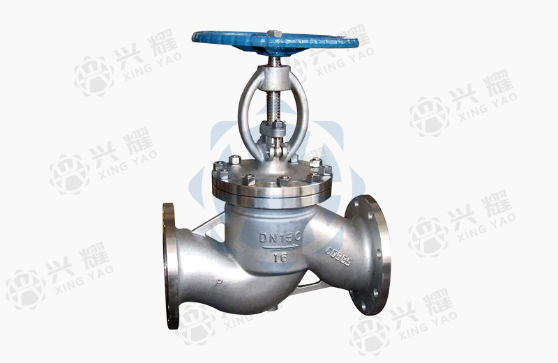 Stainless steel globe valve