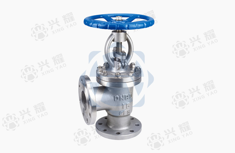 Angle type globe valve