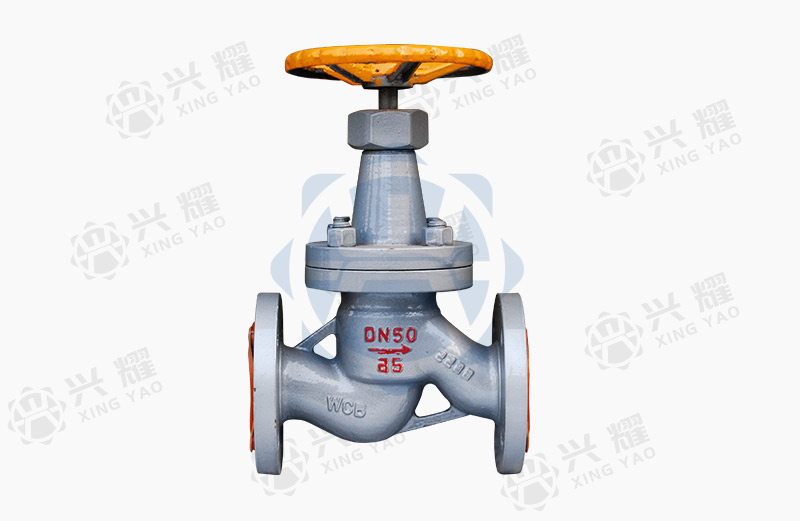 Globe dark globe valves