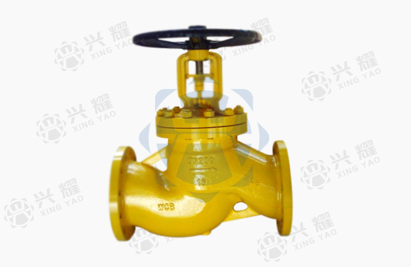 Chlorine dedicated globe valve