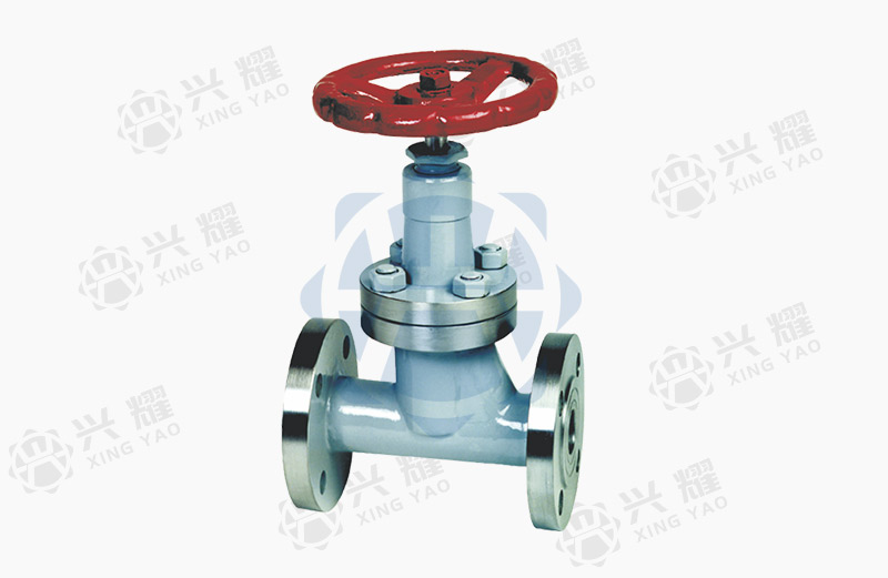 LPG globe valve