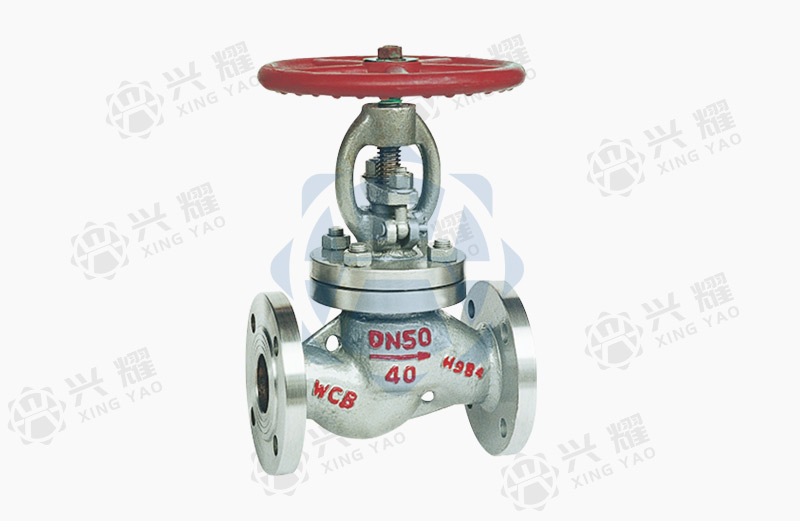 LPG globe valve